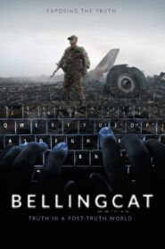 Bellingcat: Truth in a Post-Truth World 2018 on netflix