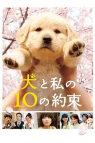 10 Promises to My Dog 2008 on netflix