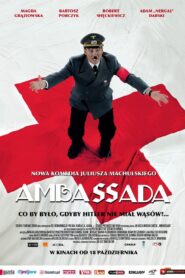 Embassy 2013 on netflix