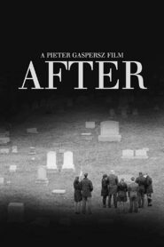 After 2014 on netflix
