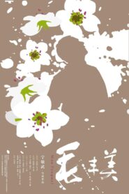 Mao Fengmei 2017 on netflix