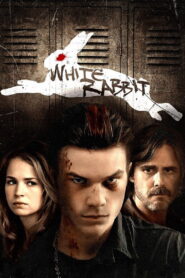 White Rabbit 2013 on netflix