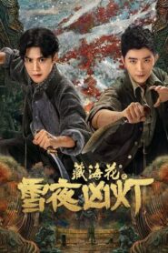 藏海花之雪夜凶灯 2024 on netflix