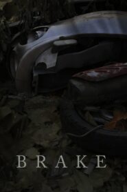 Brake 2019 on netflix