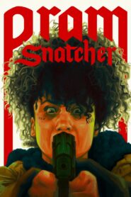 Pram Snatcher 2022 on netflix