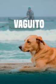 Vaguito 2024 on netflix