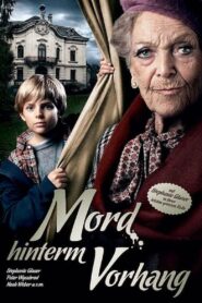 Murder Behind The Curtain 2011 on netflix