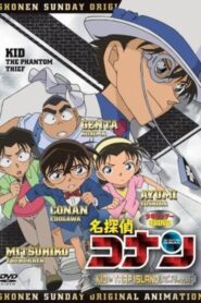 Detective Conan OVA 10: Kid in Trap Island 2010 on netflix