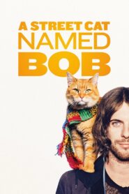 A Street Cat Named Bob 2016 on netflix