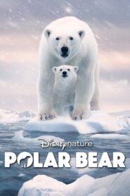 Polar Bear 2022 on netflix
