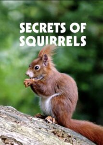 Secrets of Squirrels 2018 on netflix