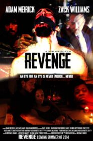 Revenge: A Love Story 2014 on netflix