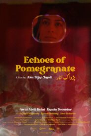 Echoes of Pomegranate 2024 on netflix