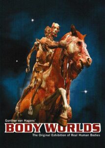 Body Worlds 1999 on netflix
