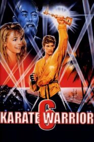 Karate Warrior 6 1993 on netflix