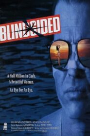 Blindsided 1993 on netflix