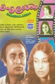 Chanchala Rekha 1981 on netflix