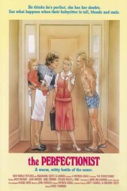 The Perfectionist 1985 on netflix