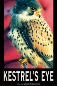 Kestrel’s Eye 1998 on netflix