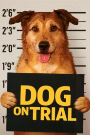 Dog on Trial 2024 on netflix