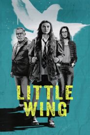 Little Wing 2024 on netflix