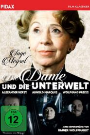 Die Dame und die Unterwelt 1984 on netflix
