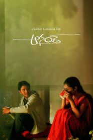 Anand 2004 on netflix