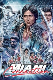 Miami Connection 1987 on netflix
