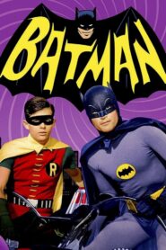 Batman: A Dynamic Legacy 2008 on netflix