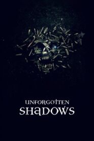 Unforgotten Shadows 2013 on netflix