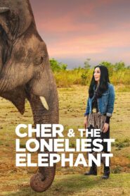 Cher & the Loneliest Elephant 2021 on netflix