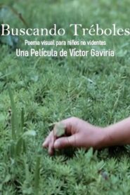 Buscando tréboles 1980 on netflix