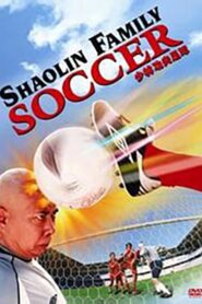 Silly Kung Fu Family 2004 on netflix