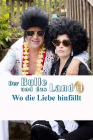 Der Bulle und das Landei – Wo die Liebe hinfällt 2015 on netflix