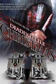 Deadly Little Christmas 2009 on netflix