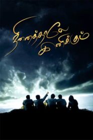 Ninaithale Inikkum 2009 on netflix