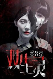 Twin Spirit 2015 on netflix
