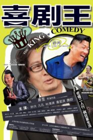 喜剧王 2013 on netflix