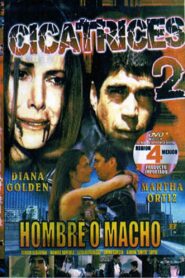 Scars 2 2007 on netflix