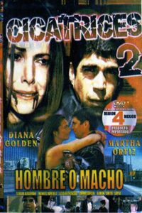 Scars 2 2007 on netflix