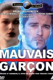 Mauvais garçon 1993 on netflix