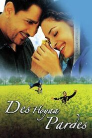 Des Hoyaa Pardes 2004 on netflix