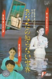The World You Don’t Know II 1991 on netflix