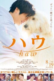 Haw 2022 on netflix