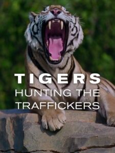 Tigers: Hunting the Traffickers 2020 on netflix