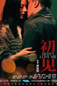 初见 2013 on netflix