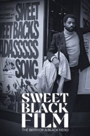 Sweet Black Film: The Birth of the Black Hero in Hollywood 2022 on netflix
