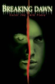 Breaking Dawn 2004 on netflix
