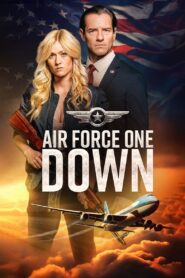 Air Force One Down 2024 on netflix