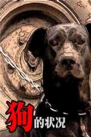 The Condition of Dogs 2001 on netflix
